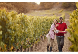 Achat de vin, pourquoi privilégier les circuits courts ? 