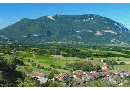 ZOOM SUR TROIS RÉGIONS VITICOLES
