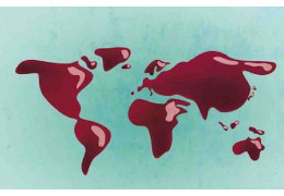 TOP 5 DES PLUS BEAUX VIGNOBLES DU MONDE