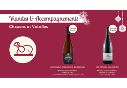 Vins et mets de fête : guide des meilleurs associations