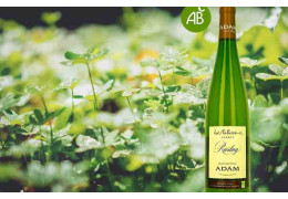 VOUS REPRENDREZ BIEN UN VERT DE VIN ?