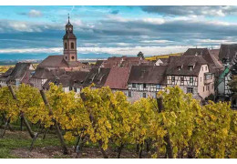 3 Anecdotes sur les vins d'Alsace