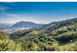 THE ARDÈCHE, A WINE-GROWING REGION THAT COMBINES OENOLOGY AND GASTRONOMY
