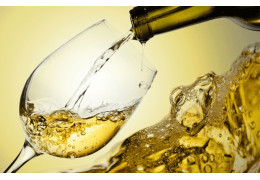 LES MYSTÈRES DU VIN JAUNE DÉCRYPTÉS