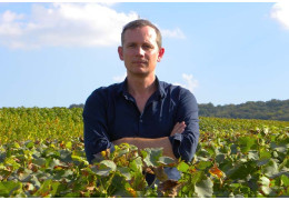 CHAMPAGNE BARBIER-ROZE, DOMAINE HISTORIQUE DE VERZENAY