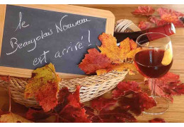 BEAUJOLAIS NOUVEAUX : HALTE AUX IDÉES REÇUES !