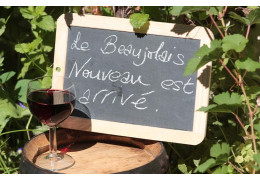 TOUT SAVOIR SUR LE BEAUJOLAIS NOUVEAU