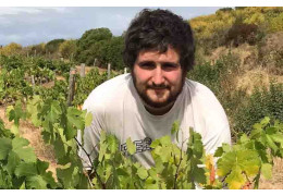 LA CULTURE EN COURBES DU DOMAINE DES BELLES COURBES