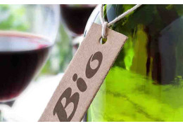 3 QUESTIONS QUE VOUS VOUS POSEZ PEUT-ÊTRE SUR LE VIN BIO