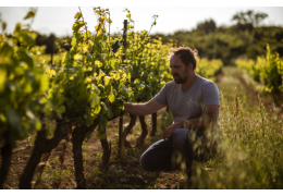 DOMAINE DELEUZE-ROCHETIN, UNE HISTOIRE RICHE ET UNE PHILOSOPHIE ANCRÉE DANS LA TRADITION