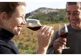 DOMAINE DE LAUZIÈRES