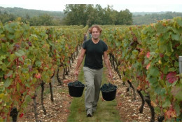 DOMAINE LES ROQUES DE CANA : UN VIN ÉLU « MEILLEUR MALBEC DU MONDE »