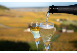 TOP 3 DES MEILLEURS CHAMPAGNES À MOINS DE 21 EUROS
