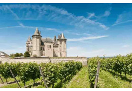 3 ORIGINAL ANECDOTES ABOUT BORDEAUX WINES