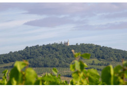BROUILLY, EVERYTHING YOU NEED TO KNOW ABOUT THIS RED RHÔNE WINE