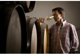 EVERYTHING YOU NEED TO KNOW ABOUT VAT VINIFICATION