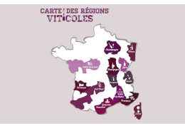 CONNAISSEZ-VOUS LES PRINCIPALES RÉGIONS VITICOLES ?