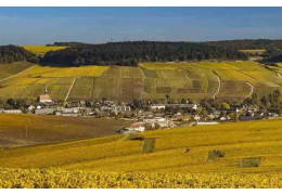 QUE FAUT-IL SAVOIR SUR LES VINS DE CHABLIS ?