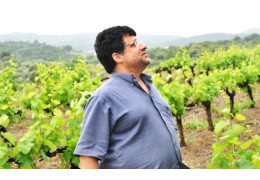 DOMAINE PECH ROME : DES « VINS DE PHARMACIEN »