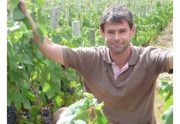 DOMAINE LES CAPRÉOLES : DES VINS BIO DU BEAUJOLAIS GOURMANDS ET ÉQUILIBRÉS