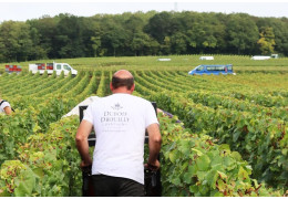DUBOIS-DROUILLY, UNE MAISON DE CHAMPAGNE FAMILIALE