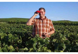 CHAMPAGNE GUY CHARBAUT: DE PÈRE EN FILS