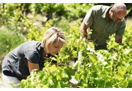 DOMAINE DES FLORETS : DES VINS D’ALTITUDE FRAIS ET MINÉRAUX