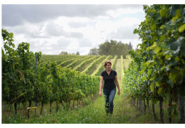 CHÂTEAU LESTRILLE, ENTRE TRADITION FAMILIALE ET INNOVATION