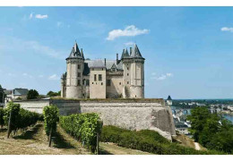 2 CHOSES QUE VOUS IGNOREZ PEUT-ÊTRE SUR LES VINS DE LOIRE
