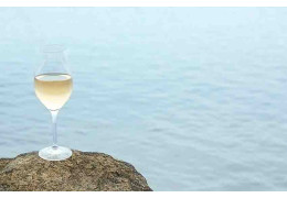 QU’EST-CE QU’UN VIN MINÉRAL ?