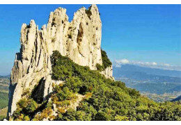 DENTELLES DE MONTMIRAIL : ENTRE RANDONNÉES ET DÉCOUVERTES DE VIGNOBLES