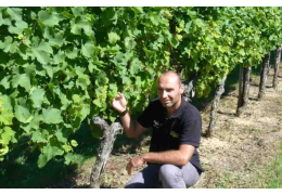 CHÂTEAU MOULIN DE LAUNAY : 150 ANS D’EXPERTISE AU SERVICE DE LA PRODUCTION DE VINS BLANCS ÉLÉGANTS