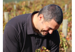 JÉRÔME PY, DOMAINE DU CAUSSE NOIR : UN VIGNERON EN APPELLATION FAUGÈRES