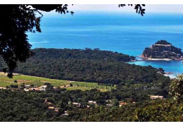CHÂTEAU MALHERBE : UN PETIT COIN DE PARADIS PROVENÇAL