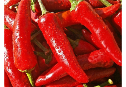 Piment et vin font-ils bon ménage ?