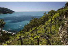 2 ANECDOTES ORIGINALES SUR LA PROVENCE