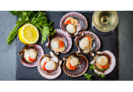 QUEL VIN SERVIR AVEC DES COQUILLES SAINT-JACQUES ?