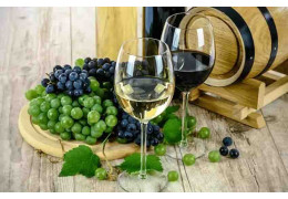 QU’EST-CE QUE LE VIN VEGAN ?