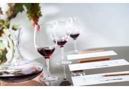 OENOLOGIE : COMMENT DÉCRYPTER LA ROBE D’UN VIN ?