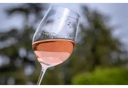 COMMENT BIEN CHOISIR VOTRE VIN ROSÉ ? TOUS NOS CONSEILS