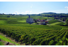 LE CERDON DU BUGEY : 4 CUVÉES À DÉCOUVRIR !