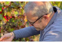 STANISLAV ZINGERENKO, CHÂTEAU LA FAVIÈRE : « EN CHAQUE VIN, SONNE UNE PARTITION DE MUSIQUE »