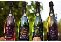 VIGNOBLES NICOLAS THEREZ : DES VINS BIO EFFERVESCENTS HAUTS DE GAMME