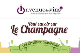 TOUT SAVOIR SUR LE CHAMPAGNE EN 3 MINUTES