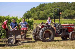 LES VIGNERONS DE TUTIAC : TRADITION BORDELAISE ET ESPRIT FRATERNEL