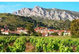 DOMAINE VENTS DU SUD: NATURAL WINES MADE USING TRADITIONAL METHODS