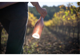 QU’EST-CE QU’UN VIN SANS ALCOOL ?