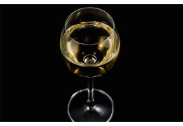 QUE RÉVÈLE LA ROBE D’UN VIN BLANC ?