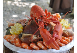 Vin et fruits de mer : 3 accords parfaits