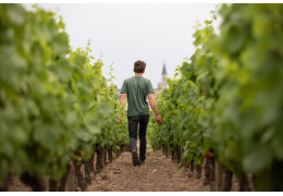 Vignobles Victoire d’Affaux